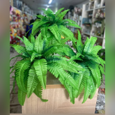 Planta com Vaso 35cm